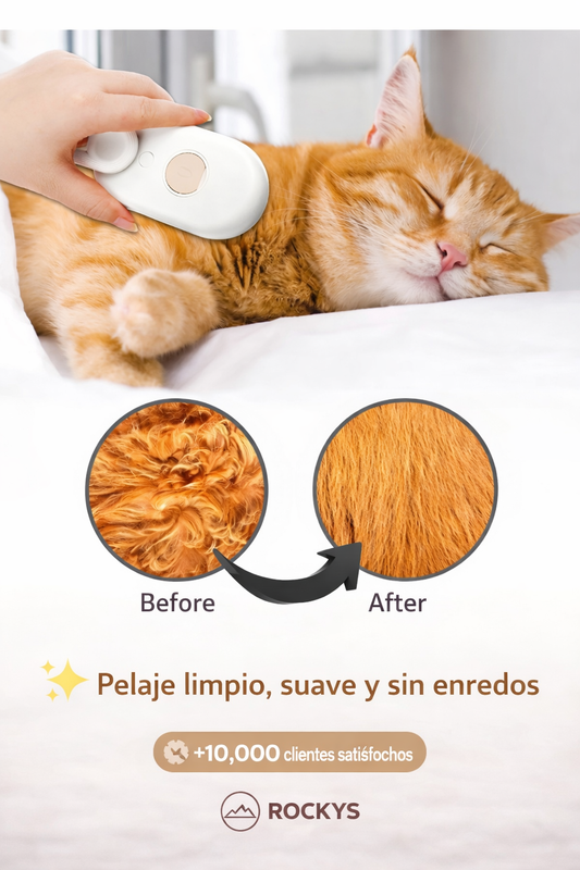 Cepillo a Vapor para Gatos/Perros