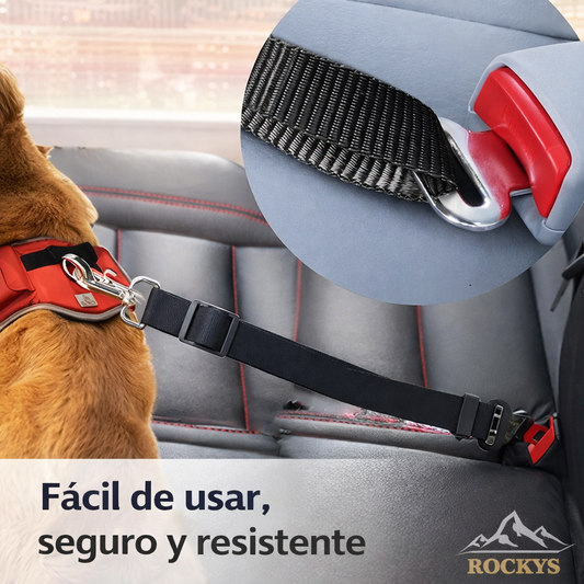 Cinturón de Seguridad pets