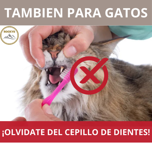 OralPet – Protección Bucal para tu Mejor Amigo