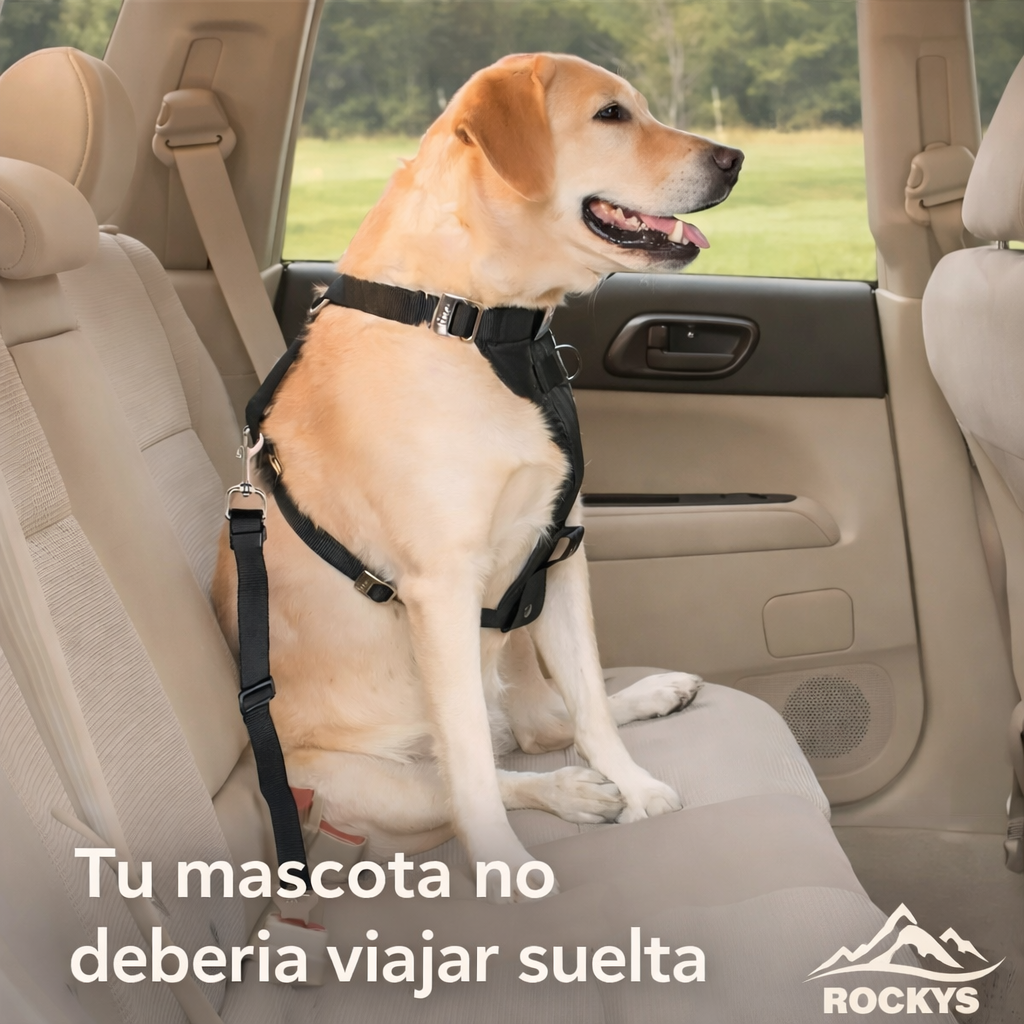 Cinturón de Seguridad pets