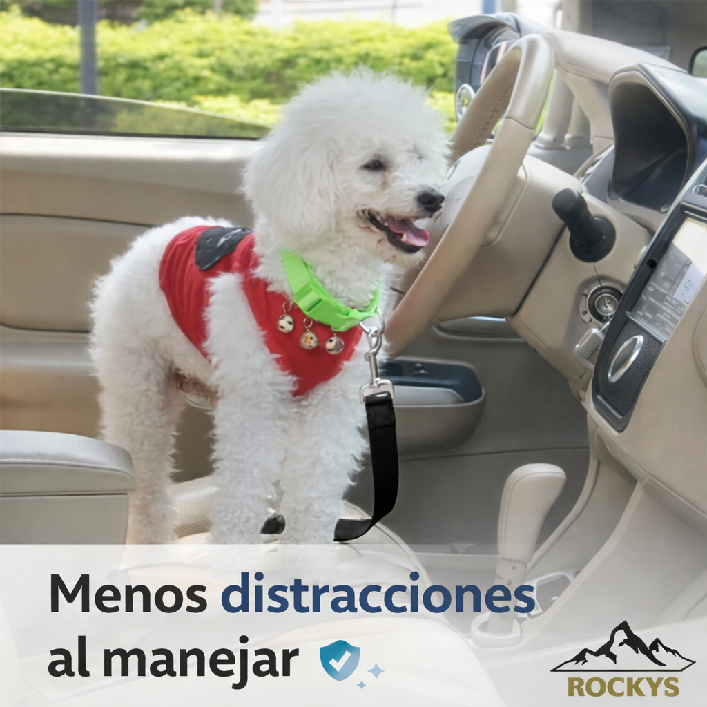 Cinturón de Seguridad pets